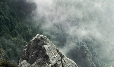 Nature Dharamsala : le sommet de la montagne de Dharamsala, avec un voile nuageux recouvrant la montagne.