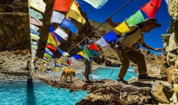 Trek Markha : des randonneurs avec un chien traversant un pont en bois, des cordes de couleurs et un lac.
