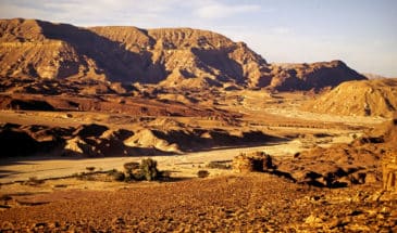 Visiter le Mont Sinaï, ascension mont Sinaï : randonnée et visite d'un désert au mont Sinaï en Egypte.
