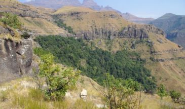 Trek à travers les grands montagnes à haut sommet en plein autotour Afrique du sud