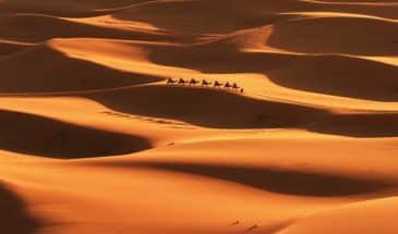Algérie Tamanrasset, touristes à dos de chameau lors d'une randonnée dans le désert Tamanrasset