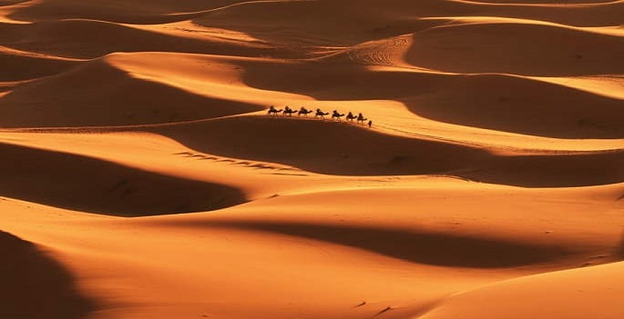 Algérie Tamanrasset, touristes à dos de chameau lors d'une randonnée dans le désert Tamanrasset