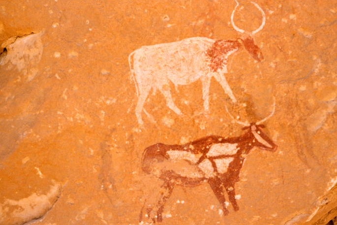 Circuit désert : des fresques sur le mur illustrant l'art ancien de l'Algérie