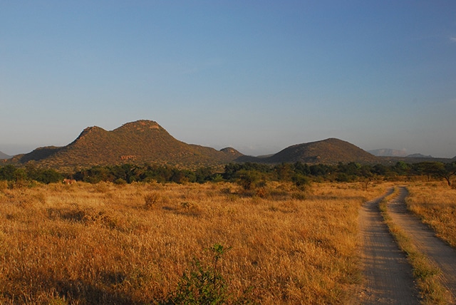 Circuit safari Kenya, parc national de Samburu au Kenya