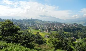 Famille randonnée : à la découverte du Népal, il y a une ville au milieu des arbres et de la végétation.