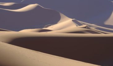 Le banc d'Arguin : dunes du désert d'Azoueiga.