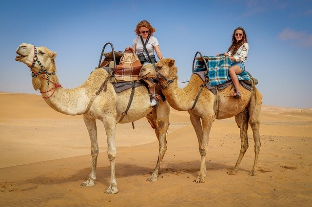 Voyage désert algérien, des touristes en randonnée chamelière dans le désert Méharée