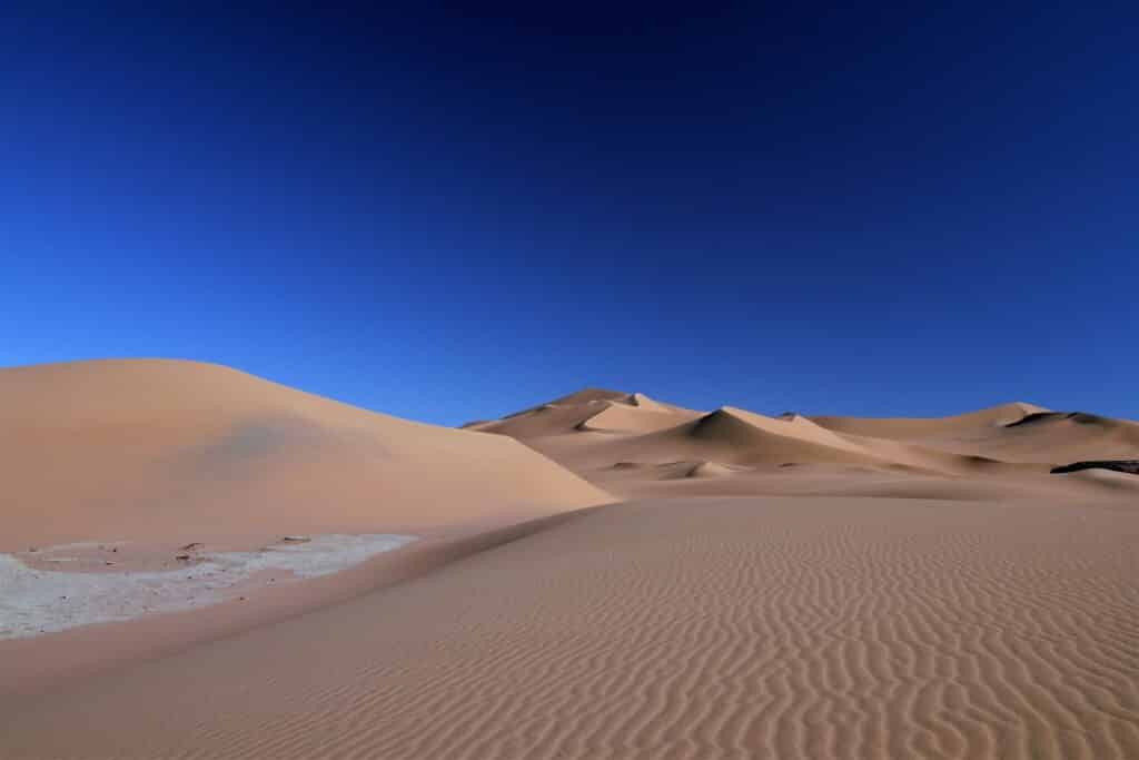 Randonnée chamelière dans le désert de Gabbou, Mauritanie.
