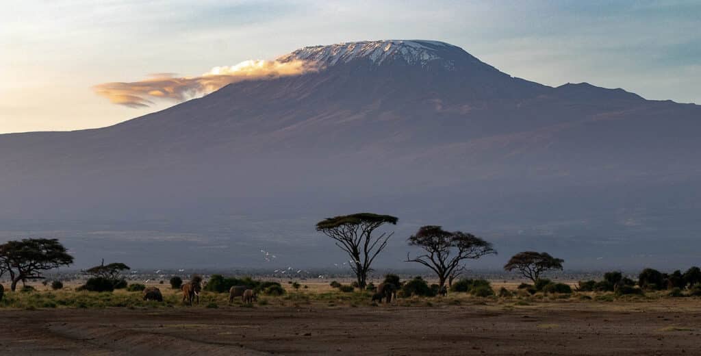 Randonnée kilimandjaro, une Girafe dans le parc national d'Amboseli au Kenya