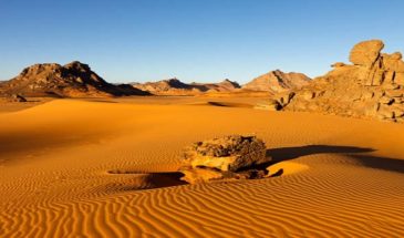 Voyage Hoggar Algérie : sable à perte de vue dans le désert du Sahara.