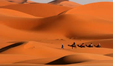 Tadrart Algérie : voyage en chameau dans le désert Tassili dans le Sud-Ouest Hoggar