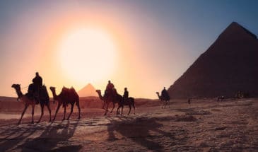 Trek dans le désert, randonnée chamelière guidée des touristes lors d'un coucher de soleil en Egypte