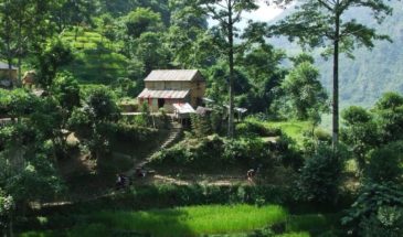 Trek en famille : il y a des champs de riz près d'une habitation qui est entourée de montagnes et de verdure.