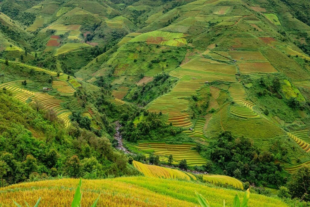 Trekking nord Vietnam : de grande, étendu de culture de riz sur les montagnes.