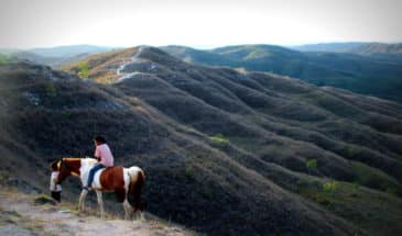 Vallée Harau : il y a deux enfants le long d'une vallée en Indonésie l'un est sur un cheval.