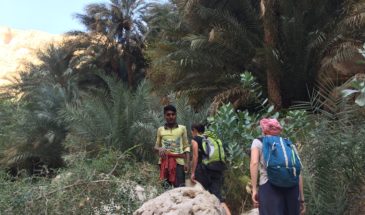 les randonneurs accompagnés par un guide sur Jabel Jjebel Akhdar à Oman