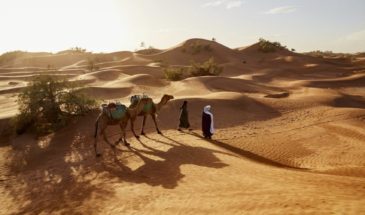 Mauritanie trekking chameau dans le désert.