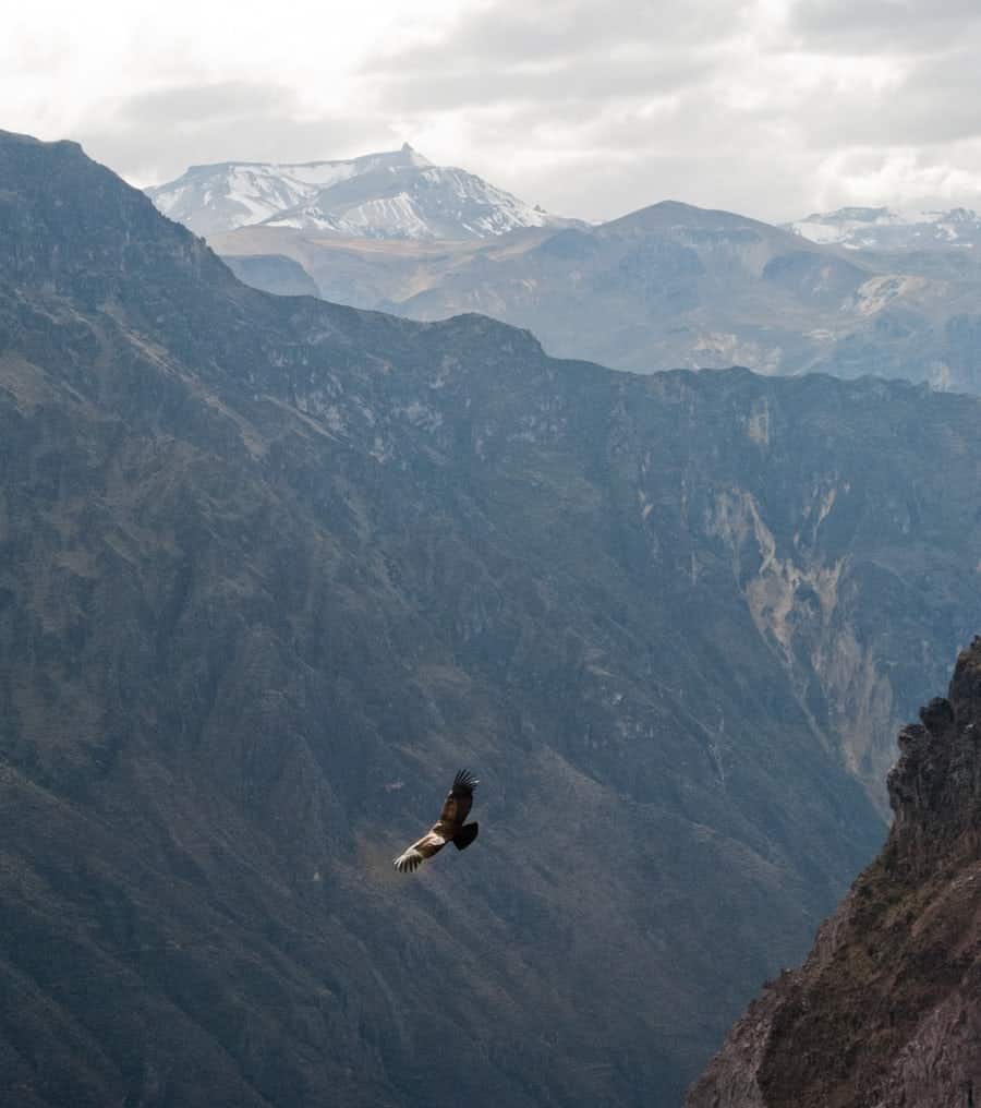 randonnée Pérou pour toutes vos envies de randonnées pédestres dans un milieu naturel
