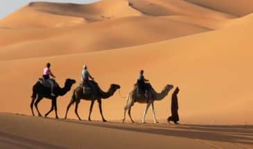 Touristes en trek en Tunisie et en randonnée à dos de dromadaire dans le désert.