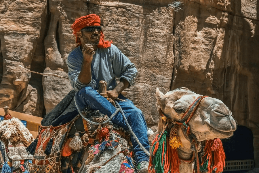 Trekking Sinaï : randonnée guidée à chameaux dans le désert de Sinaï
