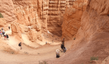 Visite en Jordanie : randonneurs admirant le paysage pendant leurs randonnée en Syrie et en Jordanie