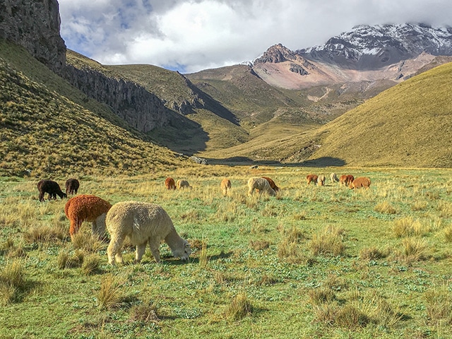 Avec le circuit Equateur, vous aurez une gamme variées de randonnées et de trek adaptée à vos envies
