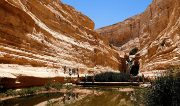randonnée et Trek dans Désert en Israël
