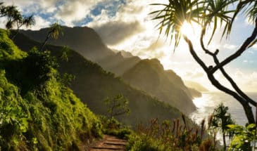 trekking Hawaï lors de vos vacances en toute liberté dans un splendide panache de beauté florale