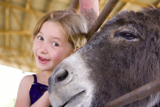 Une petite fille avec un très grand sourire avec un âne, visite Cévennes