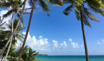 découvrez la destination caraïbe avec visite Martinique pour une expérience agréable et inoubliable