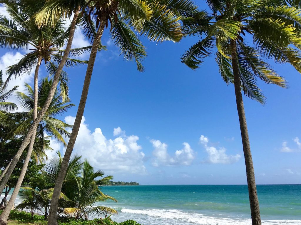 découvrez la destination caraïbe avec visite Martinique pour une expérience agréable et inoubliable